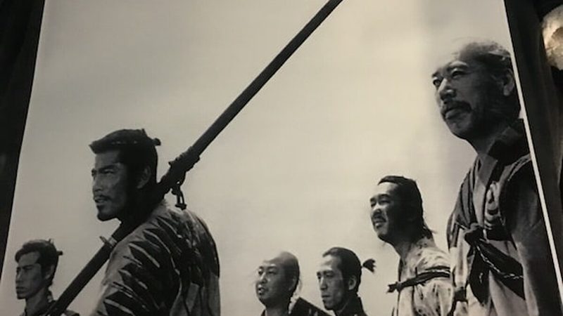 北京道路绿化养护，如何选择专业公司？**
