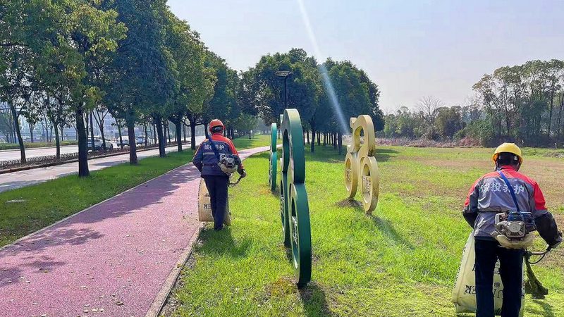 公园绿化项目报价解析：如何合理评估成本**