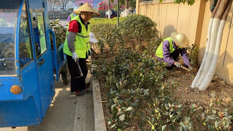 绿化资质三级升二级：流程解析与时间预估
