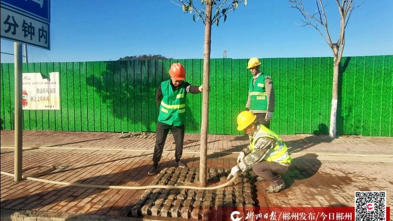 假山喷泉，如何挑选优质厂家？揭秘行业排名背后的真相**