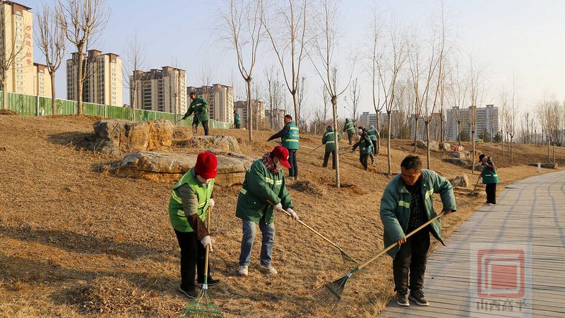 道路绿化带排水设计：优缺点解析