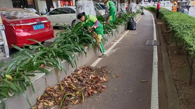 绿化资质三级升二级：注册资本要求解析