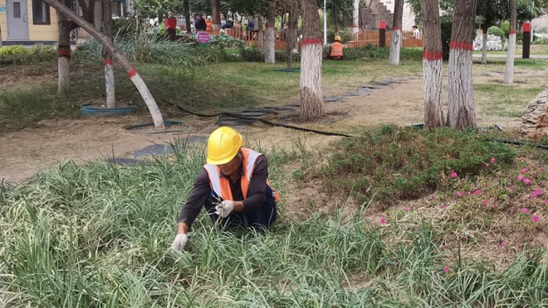 公园假山喷泉合同范本：关键条款与注意事项**