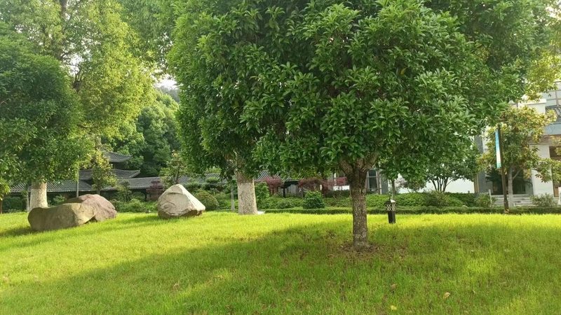 果岭草草坪养护，这些工具不可或缺**