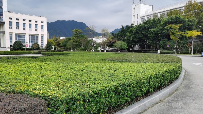 透水砖与石材之争：小区景观中谁才是最佳选择？**