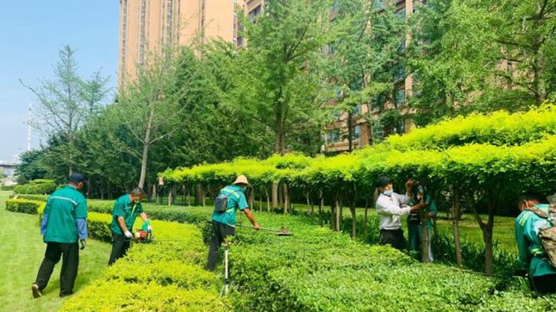 面积报价藏着多少坑？花卉租摆按平米算的真相